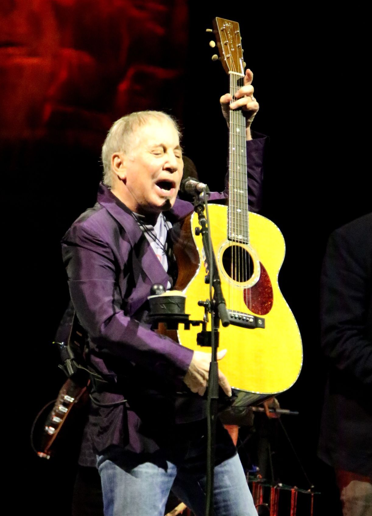 Paul Simon